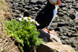 @Visit Westfjords – Westfjords.is