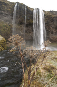 Seljalandsfoss