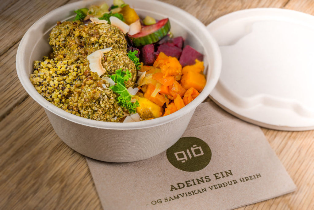 Iceland Vegan Food A Growing Trend in the Land of Fire and Ice