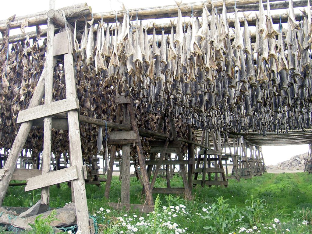 Dried fish.