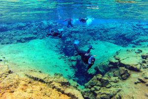 snorkeling and horseback riding