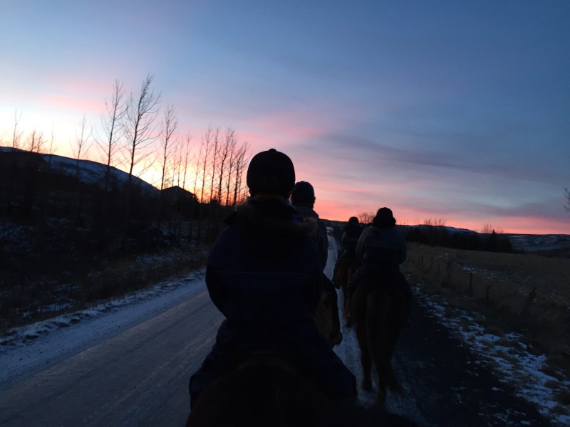 horseback riding in iceland