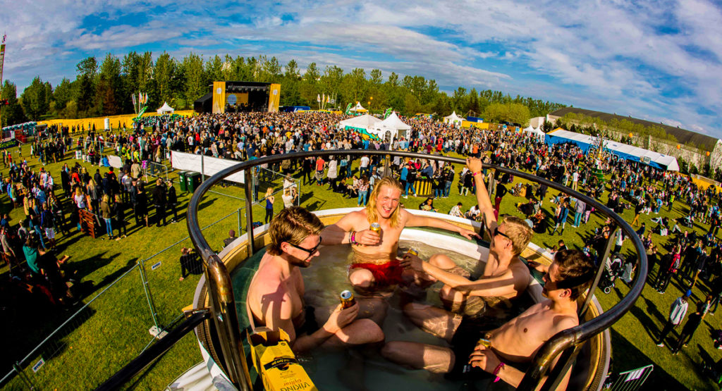 Ticket to Secret Solstice Music Festival Must See In Iceland